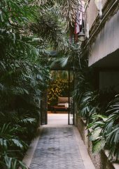 A path between a leafy row of trees and a concrete building.