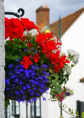 Hanging flower pot on the side of a building.